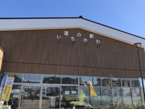 《道の駅いちかわ》新観光名所！市川市初の道の駅を徹底紹介！