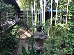 竹の間から見える庭の竹