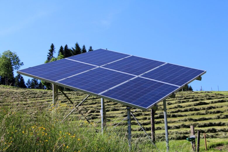 千葉商科大学がソーラーシェアリングを導入！農業と再生可能エネルギーの啓発活動！