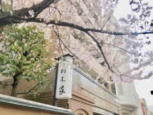 栃木家の看板と桜