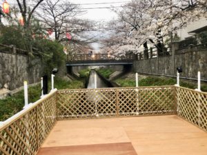 川床からの風景