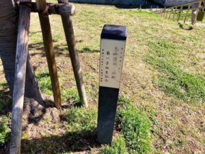 さくらオーナーの第一子誕生記念