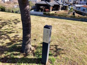 さくらオーナーの初孫誕生記念