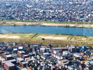 アイリンク展望施設からの河津桜