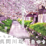 《桜の名所》市川市内のお花見スポット32選！綺麗な桜が見られます！