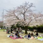 《行徳駅前公園の桜》駅から至近!子供連れに大人気のお花見スポット!