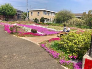 郭沫若記念館の芝桜前のベンチ