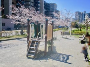 健康の広場裏の桜と遊具
