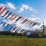 第29回国分川鯉のぼりフェスティバルが2019年4/29〜開催されます!