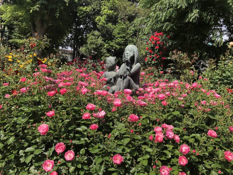 《須和田公園のバラ》密集度が高くバラの香りが素晴らしいバラ園！