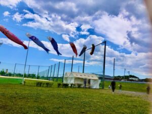 国分川鯉のぼりフェスティバルの鯉のぼりと本部テント(筆者撮影)