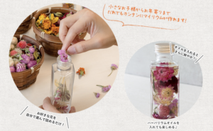 マイリウムのイメージ