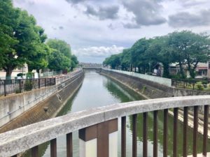 手児奈橋からの真間川