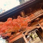 《真間山弘法寺の紅葉》もみじの美しさが光る市川の紅葉スポット!