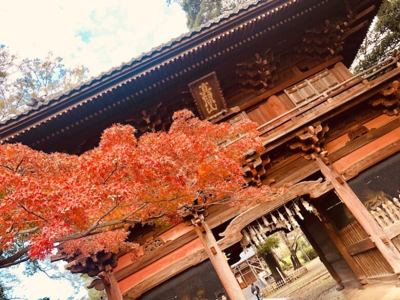 《真間山弘法寺の紅葉》もみじの美しさが光る市川の紅葉スポット！