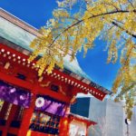 《葛飾八幡宮の紅葉》参道と境内のイチョウが美しい紅葉風景!