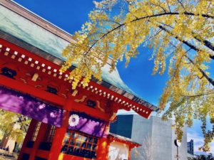 《葛飾八幡宮の紅葉》参道と境内のイチョウが美しい紅葉風景!