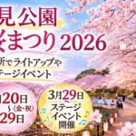 里見公園桜まつり2026開催|市川市の桜名所でライトアップやステージイベント【3/20〜】