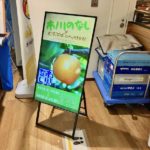 市川の梨!シャポー市川むすぶばで直売会が開催中!8月23日まで!
