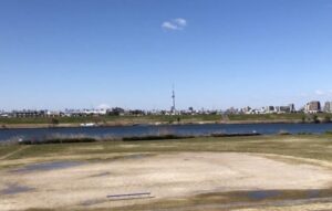 江戸川からの富士山とスカイツリー