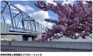 東西線と桜のコラボレーション動画の紹介画像②