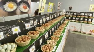 日本たまごかけご飯研究所のバイキング
