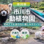市川市動植物園の楽しみ方完全ガイド｜見どころ・所要時間・アクセス