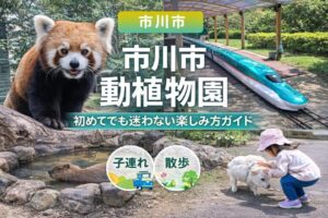 市川市動植物園の楽しみ方完全ガイド｜見どころ・所要時間・アクセス