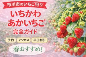 いちかわあかいちご