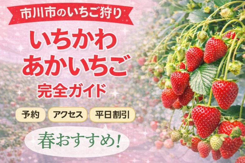 市川市のいちご狩り「いちかわ あかいちご」完全ガイド2026｜予約・アクセス・注意点まとめ