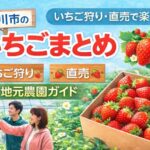 市川市のいちごまとめ｜いちご狩り・直売で楽しむ地元農園ガイド