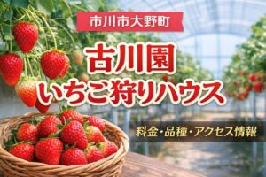 古川園いちご狩りハウス｜市川市で楽しめるいちご狩り【料金・品種・アクセス】2026年版