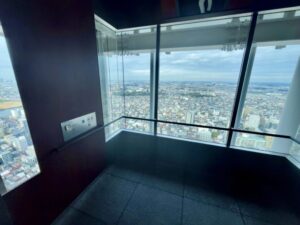 アイリンクタウンシースルーエレベーター