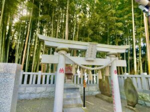 八幡の藪知らずとは？本八幡の禁足地伝承と見どころ・アクセス