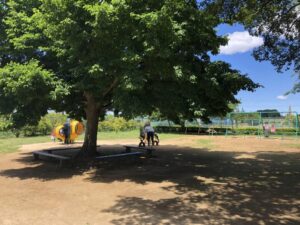 市川動植物園の遊具(ブランコなど)