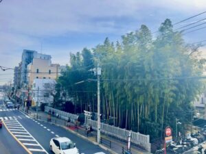 八幡の藪知らず（やわたのやぶしらず）上からの写真