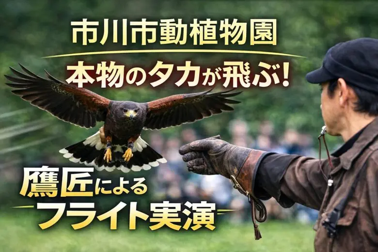 本物のタカが飛ぶ！市川市動植物園で「鷹匠によるタカのフライト実演2026」開催