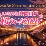 いちかわ真間川堤桜ウィーク2026開催｜提灯点灯・桜フォトスポット情報【市川市】