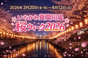 いちかわ真間川堤桜ウィーク2026開催!提灯点灯・桜まち歩き・キッチンカー情報も【市川市】