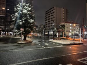 2026年2月8日(日)市川駅前の積雪状況(筆者撮影)