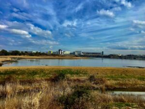 行徳野鳥観察舎(あいねすと)の観察窓からの風景