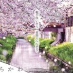 いちかわ真間川堤桜ウィーク2026開催｜提灯点灯・桜フォトスポット情報【市川市】