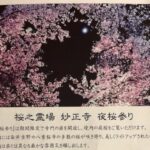 妙正寺「夜桜参り」初開催|市川市北方町の桜之霊場でライトアップ