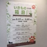 いきものたちの箱庭が市川駅前ミュージアムで開催｜2026年3月17日〜23日【入場無料】