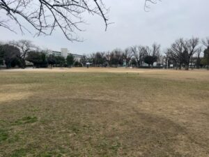 行徳駅前公園の広場全景（2026年3月13日筆者撮影）