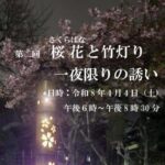 市川市中山「第2回 桜花と竹灯り 一夜限りの誘い」開催｜智泉院で夜桜イベント