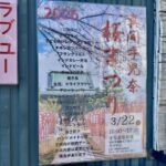 真間手児奈桜まつり2026が3月22日開催！手児奈霊神堂で春イベント