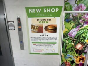 シャポー本八幡館内に掲示された和菓子店「錦糸町 白樺」の開店告知看板。2026年4月9日(木)9時30分オープン、キャンペーン情報とフロアマップ付き。(2026年3月23日筆者撮影)