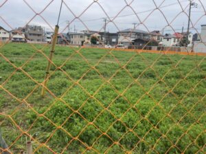 市川市大洲4丁目・大洲中学校隣のマンション計画地の現地の様子（2026年3月23日筆者撮影）