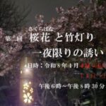 市川市中山「第2回 桜花と竹灯り 一夜限りの誘い」開催｜智泉院で夜桜イベント